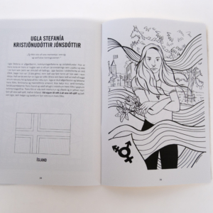 Litabók - Litum fyrir mannréttindi - Image 3